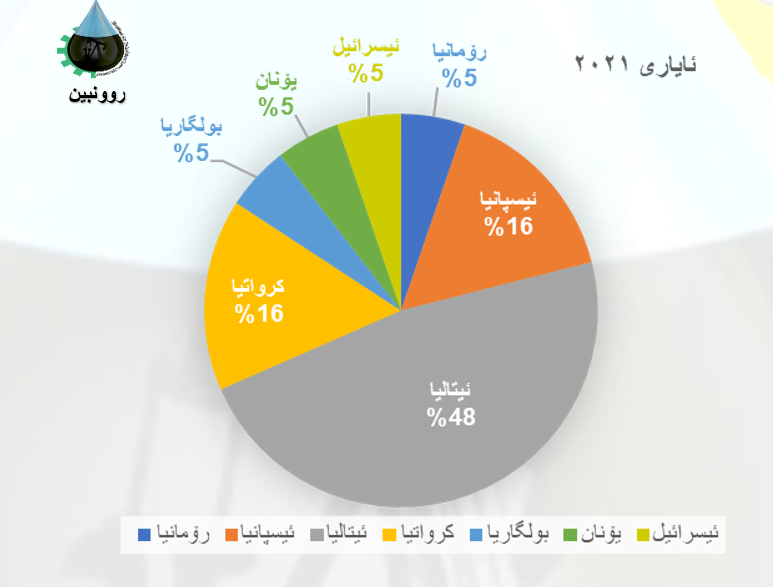 Report 7